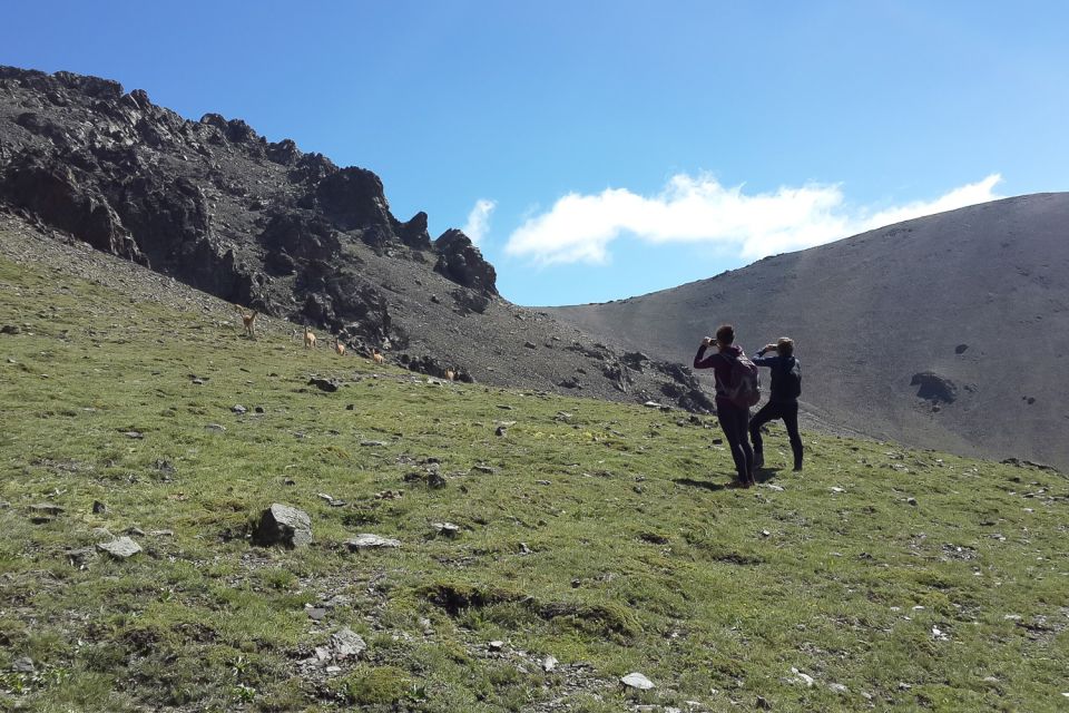 From Mendoza: Full-Day Cordon Del Plata Andes Trek - Daily Itinerary