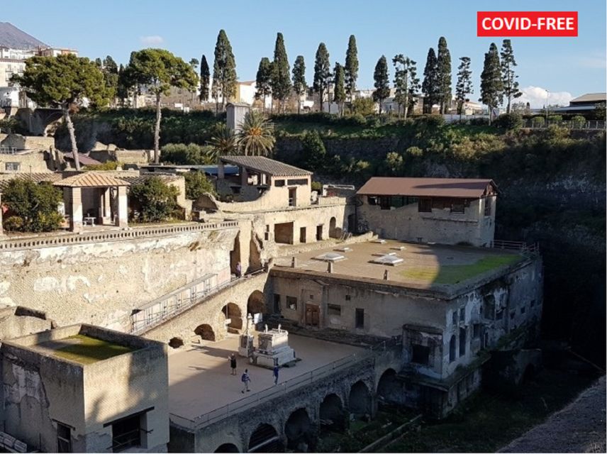 From Naples: Day Trip to Herculaneum With Skip the Line - Transportation and Logistics