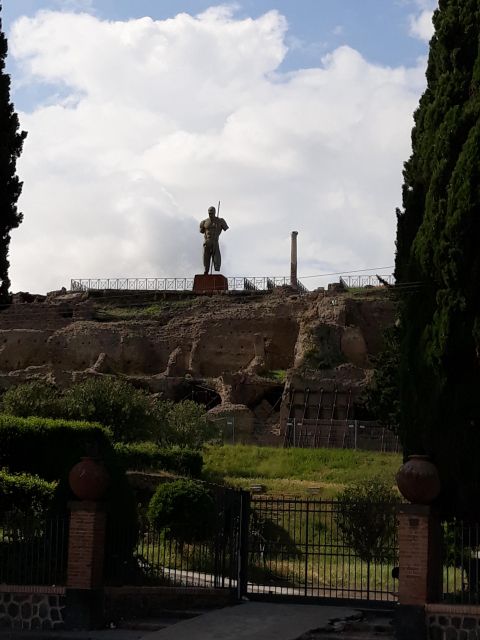 From Naples: Pompeii Private Half Day Tour - Pickup and Drop-off Locations