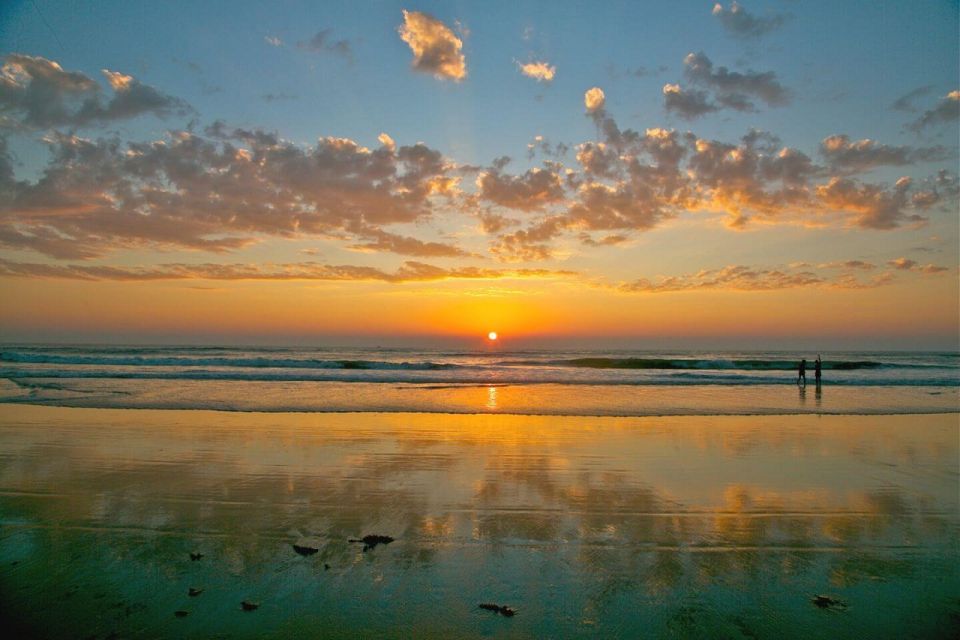 From North Goa : Full Day North Goa Tour With Pick up & Drop - Itinerary Highlights