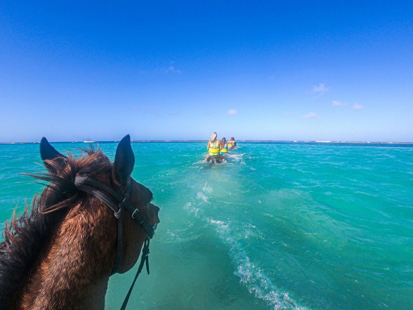 From Ocho Rios: Chukka Horseback Ride and Swim - Horseback Ride and Swim Adventure