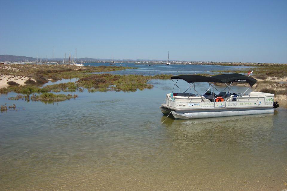 From Olhão: Ria Formosa & Culatra Island 3.5-Hour Boat Trip - Experience Highlights