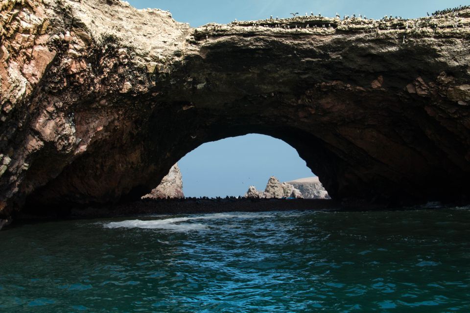 From Paracas: Ballestas Island Marine Wildlife Watching - Pricing Information