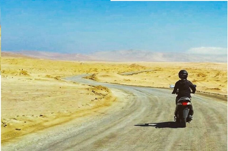 From Paracas: Tour Scootering to Paracas National Reserve - Experience Highlights