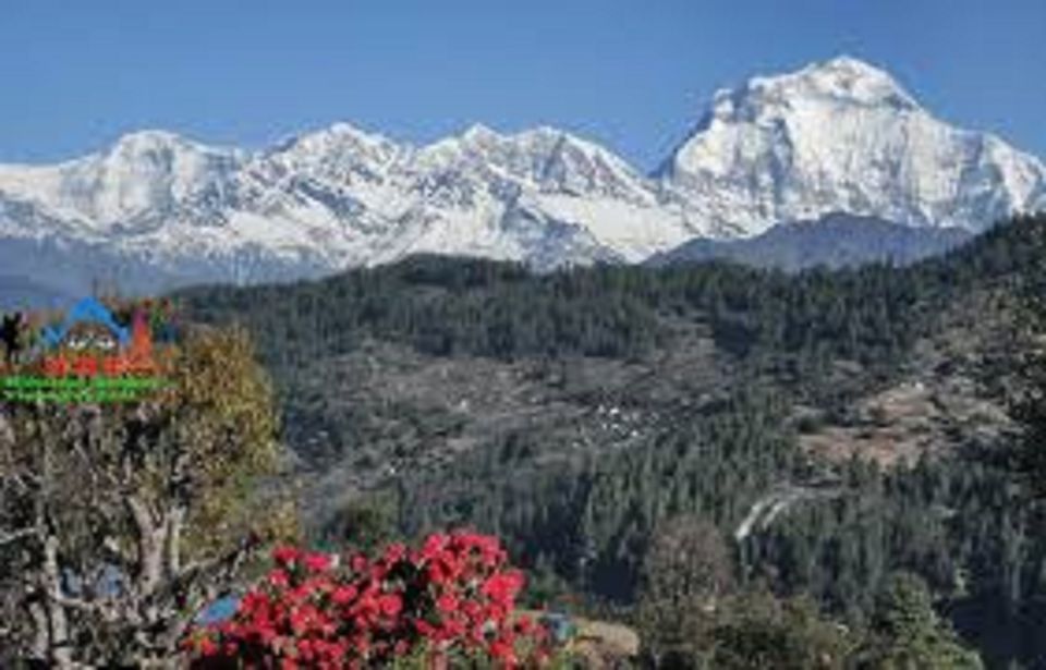 From Pokhara: 3 Night 4 Days Mohare Danda & Poon Hill Trek - Detailed Trek Itinerary