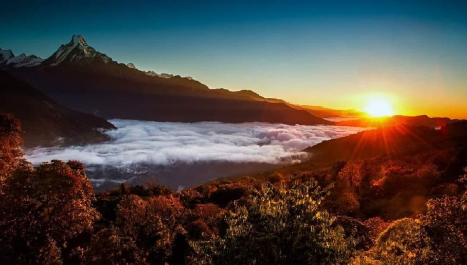 From Pokhara: 5-Day Annapurna Basecamp Trek With Hot Springs - Detailed Itinerary