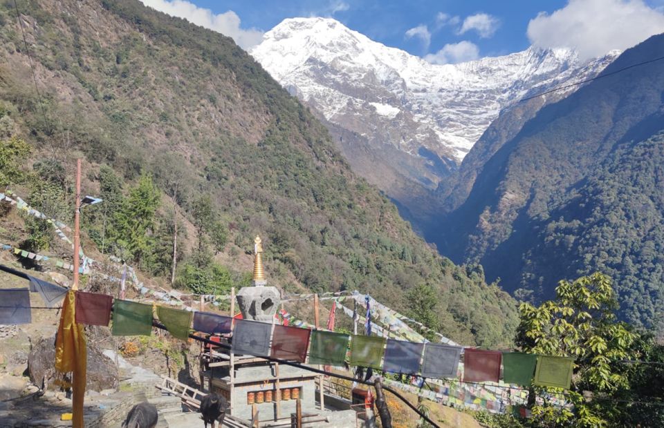 From Pokhara: Annapurna Base Camp Trek - Trekking Itinerary Details