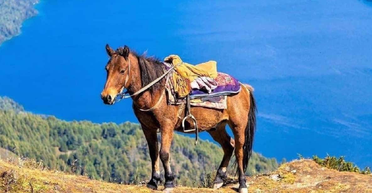 From Pokhara: Unforgettable Horseback Riding Adventure - Experience and Itinerary