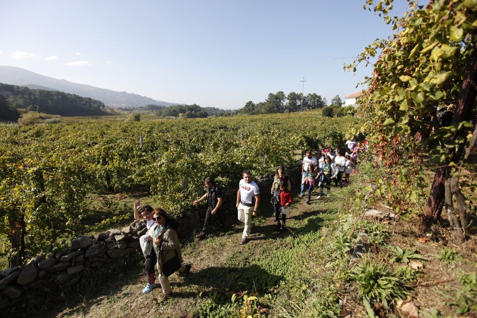 From Porto: Monção Wineries Tour With Wine Tastings - Pricing and Duration