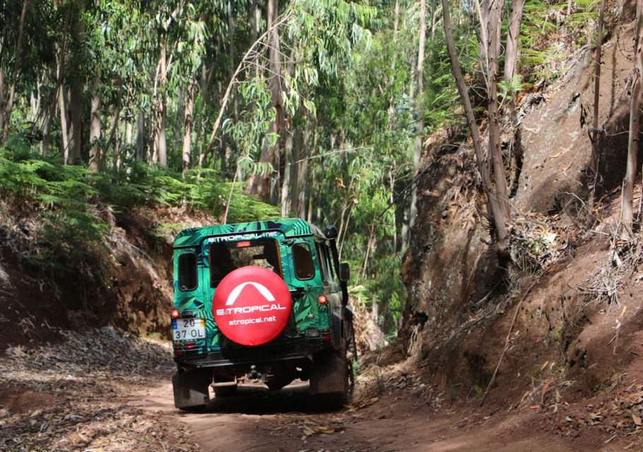 From Porto Moniz: Fanal 4x4 Tour - Itinerary Highlights