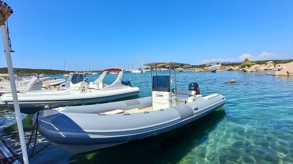 From Porto Rotondo: Private Dinghy Tour - Booking Information