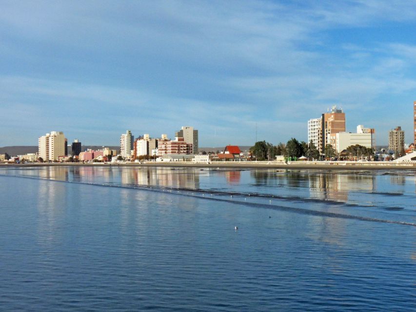 From Puerto Madryn: City and Punta Loma Tour - Itinerary Highlights