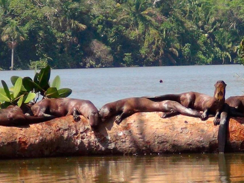 From Puerto Maldonado || Jungle Trekking + Sandoval Lake || - Detailed Itinerary