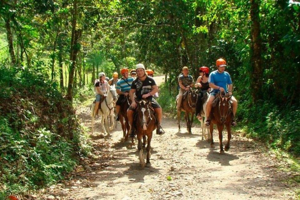 From Puntacana: Samana Tour + Salto El Limon and Bacardi Island - Visiting Casca El Limon Waterfall