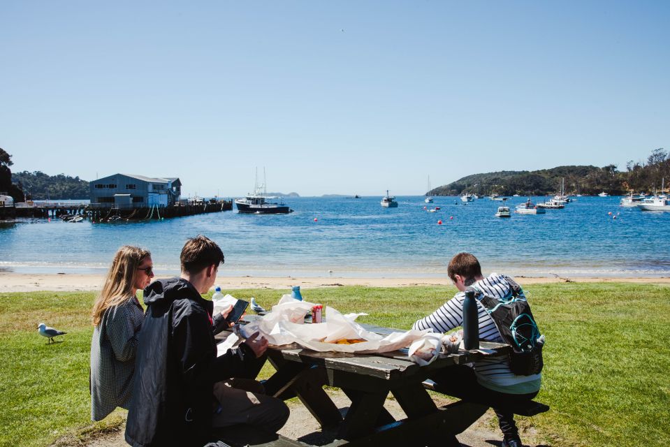 From Queenstown: Day Trip to Stewart Island by Plane - Experience Highlights