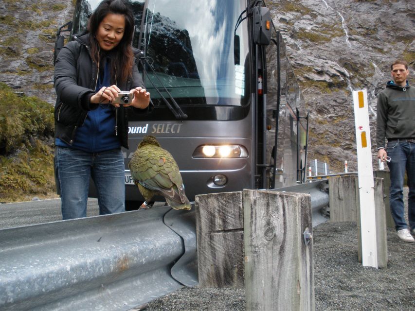 From Queenstown: Milford Sound Premium Day Tour and Cruise - Itinerary Highlights