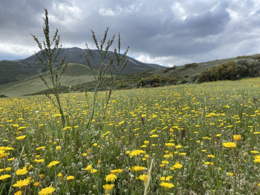 From Rethymno: Eleven Gates Hike on The Shepherds Path - Hiking Experience and Stages