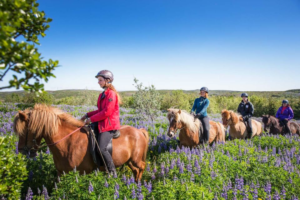 From Reykjavik: Viking Horseback Tour in Hafnarfjordur - Booking Information