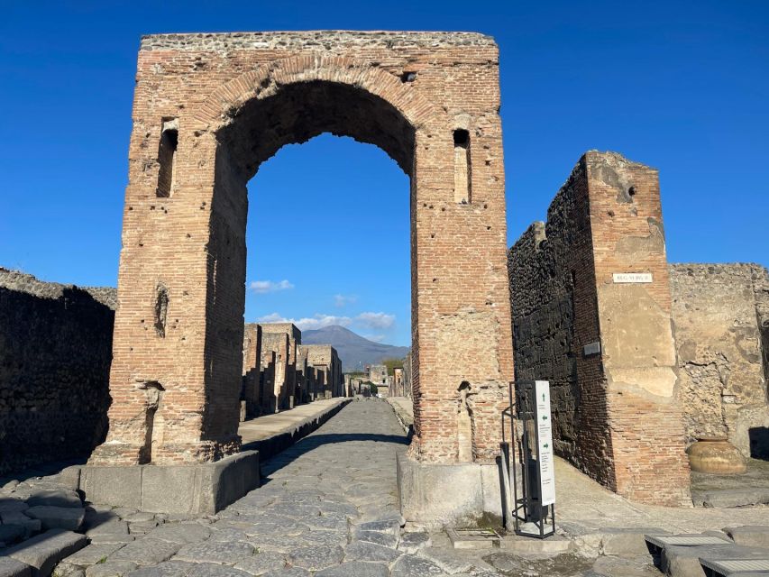 From Rome: Full Day Pompeii and Naples Tour - Highlights of the Excursion