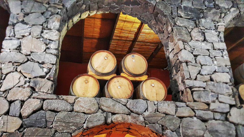 From Salta: Cafayate Day Trip With Wine Tasting - Itinerary and Highlights