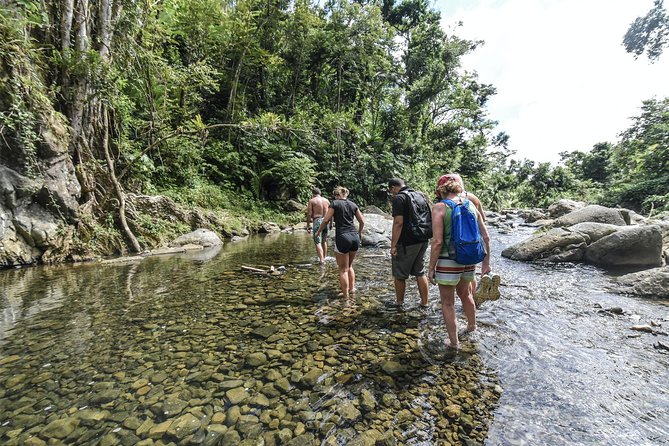 From San Juan: El Yunque Rainforest Hiking Adventure - Meeting Points