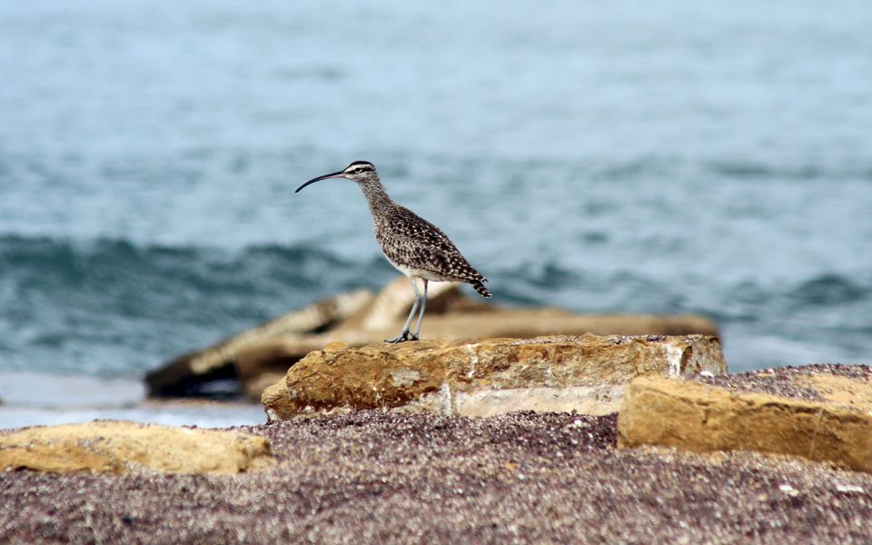 From San Martin Port: 3-Hour Paracas Reserve Tour - Itinerary Highlights