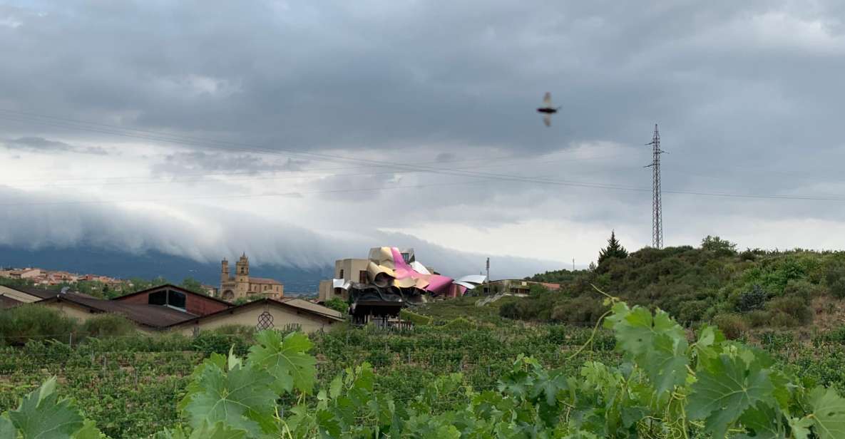 From San Sebastian: Rioja Wine Tour - Itinerary Highlights
