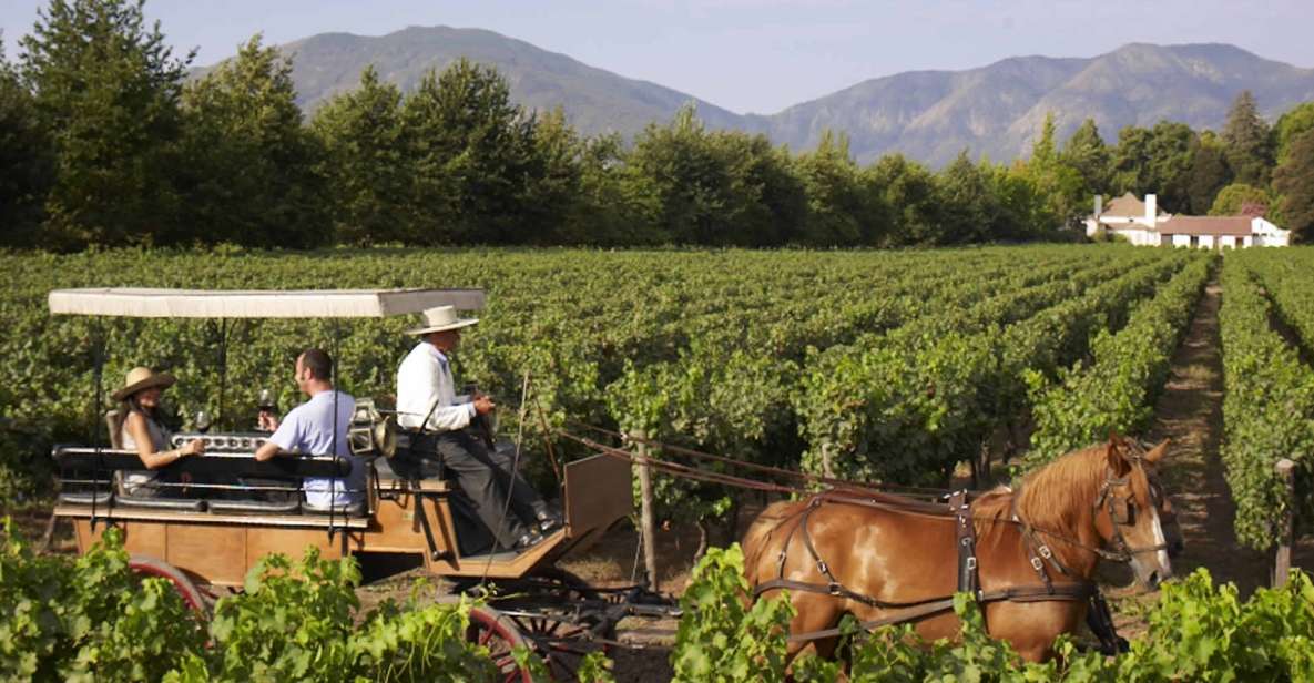 From Santiago: Private Colchagua Valley Wine Tour W/ Tasting - Itinerary Highlights