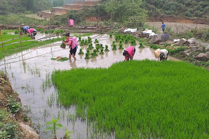From Sapa: 2 Day Tour Through Villages and Countryside - Included Amenities
