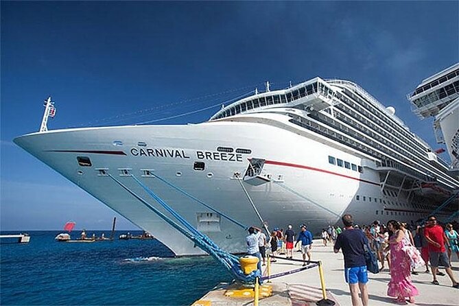 From Semarang Port: Borobudur Temple Excursion - Cruise Ship Traveler - Inclusions and Services