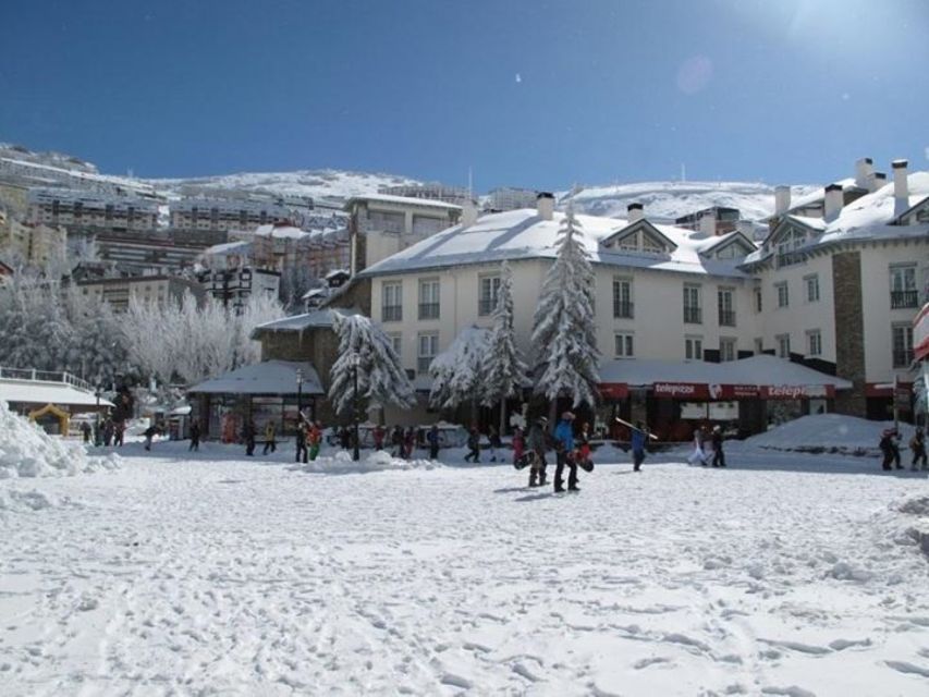 From Sierra Nevada ; Private Transfer to Granada City - Flora and Fauna