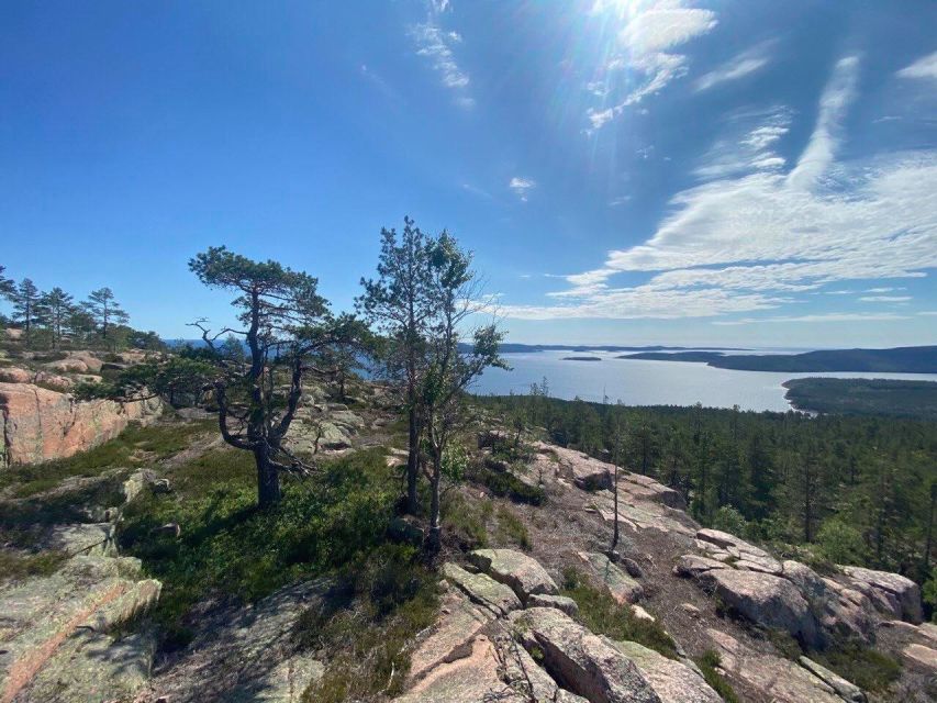 From Stockholm: 4-Day Hiking Trip in Central Sweden - Experience Highlights