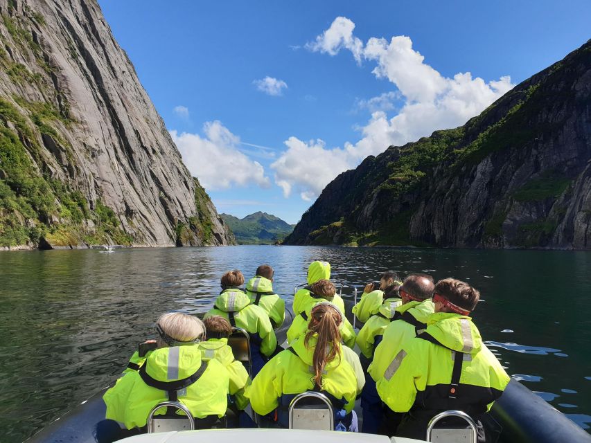 From Svolvaer: Trollfjorden Wildlife RIB Cruise - Experience Highlights