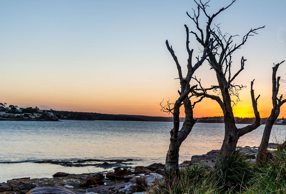 From Sydney: Sea Cliff Bridge, Beaches, and Farmlands Tour - Tour Description