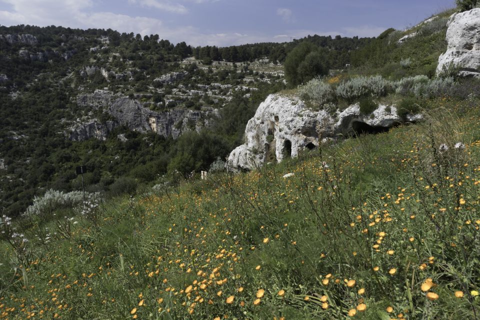 From Syracuse: Pantalica Nature Reserve Guided Hiking Tour - Pantalica Nature Reserve