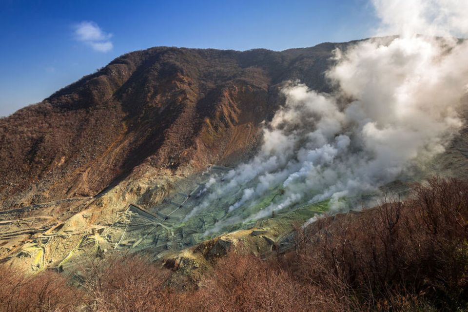 From Tokyo: Hakone and Owakudani Private Day Trip - Highlights of Hakone and Owakudani