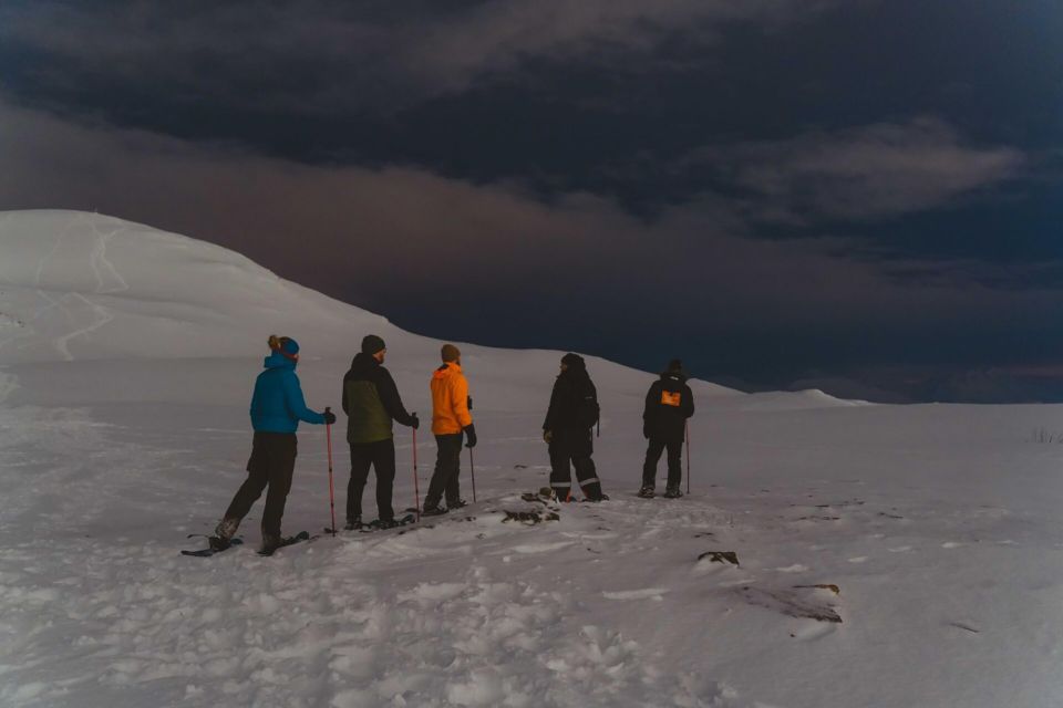 From Tromsø: Evening Fjellheisen Snowshoe Hike and Cable Car - Itinerary Details