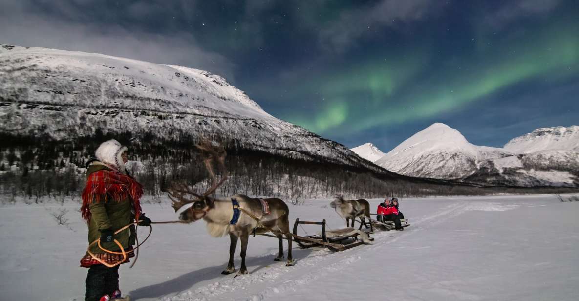 From Tromsø: Evening Reindeer Sledding at Camp Tamok - Itinerary Details