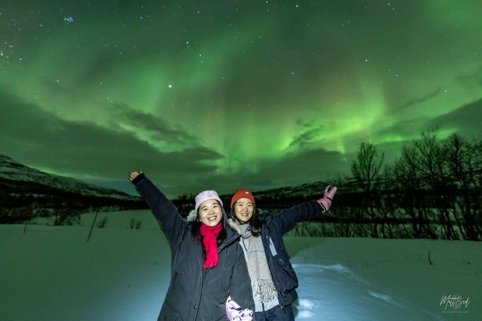 From Tromsø: Northern Lights Chase With Photos and Dinner - Experience Highlights