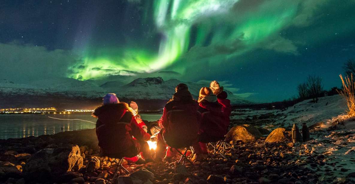 From Tromsø: Northern Lights Tour - Experience and Itinerary