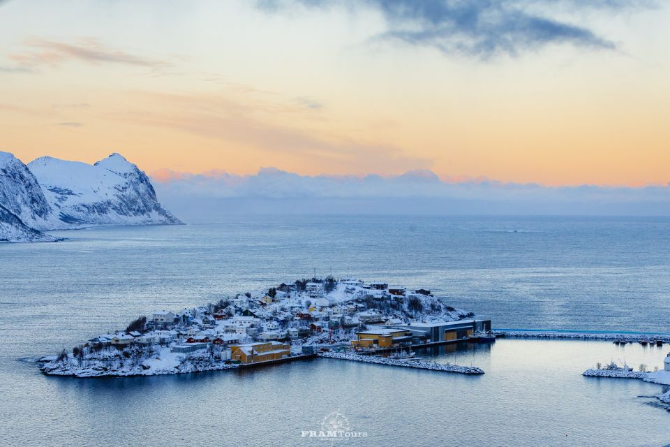 From Tromsø: Senja and Kvaløya Arctic Day Trip With Lunch - Itinerary Highlights