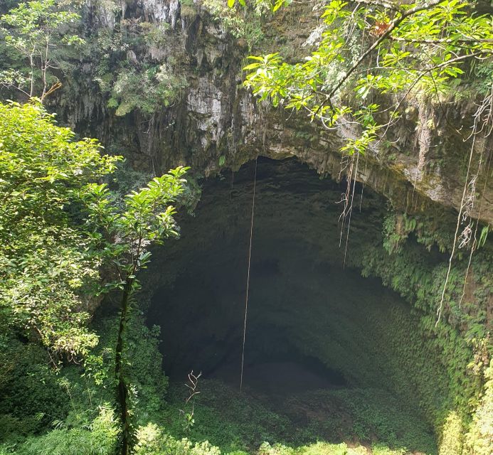 From Yogyakarta: Explore Jomblang Cave - What to Expect During the Adventure