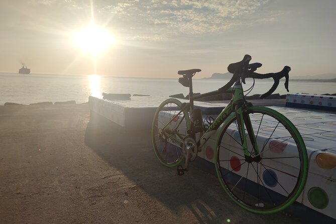 Full Carbon Road Bike Rental - Rental Options and Pricing