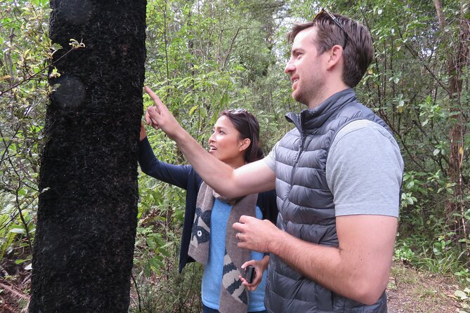 Full-Day Abel Tasman National Park Hiking Tour With Cruise - Hiking Experience