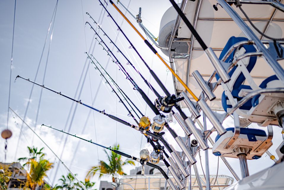 Full Day All Inclusive Deep Sea Fishing - Pricing and Booking Details