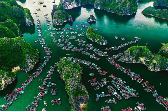Full Day Boat Tour in Halong Bay, Cat Ba Archipelago & Lan Ha Bay - Cancellation and Refund Policy