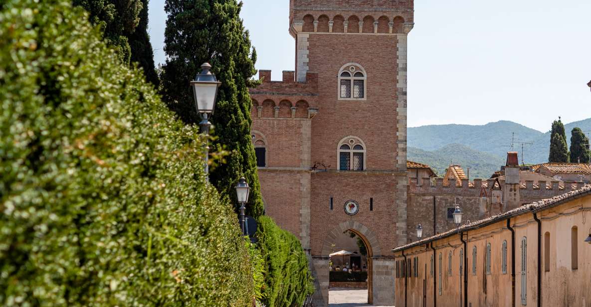 Full Day Bolgheri Tuscan Private Tour From Florence - Tour Highlights