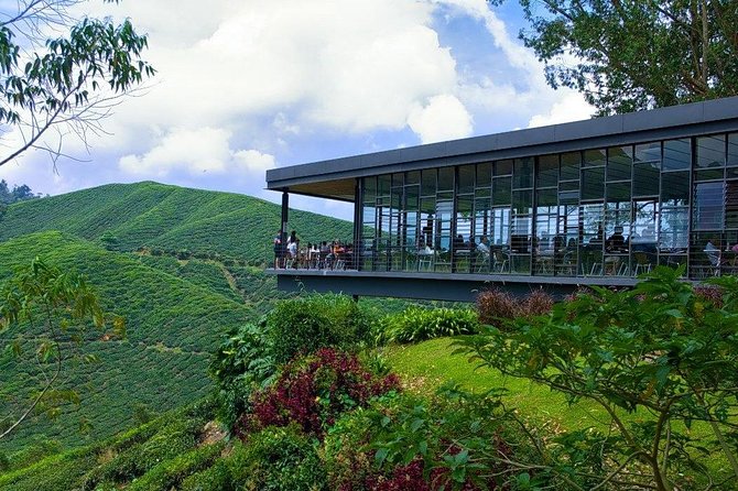 Full Day Cameron Highlands Nature Tour - Inclusions and Exclusions