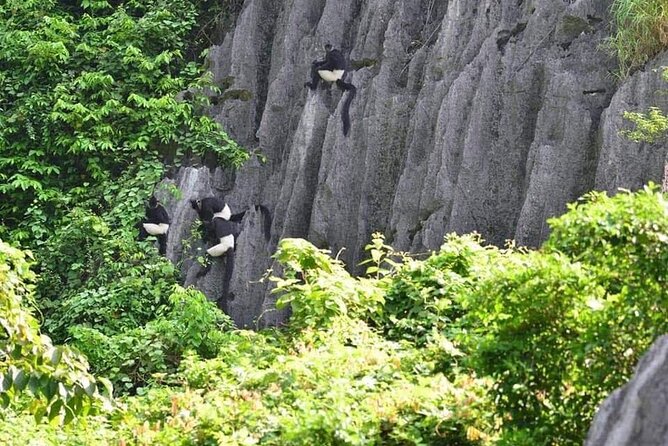 Full-Day Cuc Phuong National Park Hiking Tour - Inclusions and Exclusions