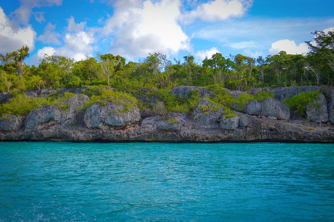 Full-Day Excursion in Saona Island - Activities on Saona Island